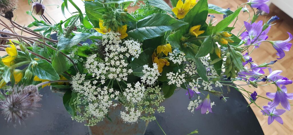 kesäinen kimppu luonnonkukkia